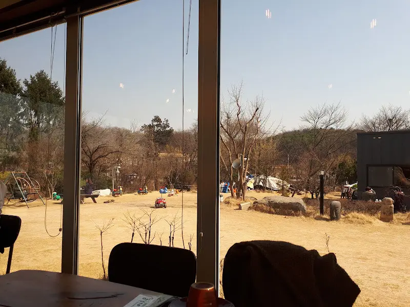 창밖으로 보이는 정원 풍경