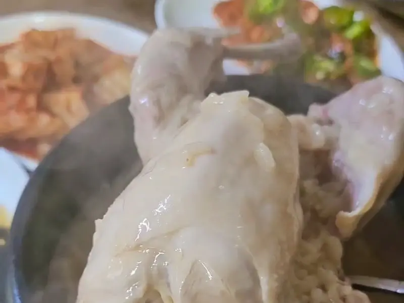 살이 부드러운 닭고기