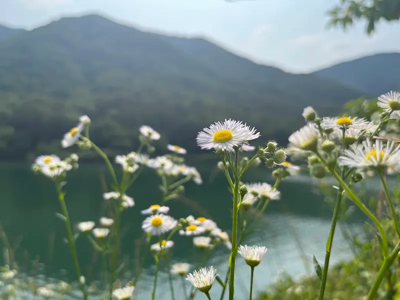 오성제 저수지 풍경