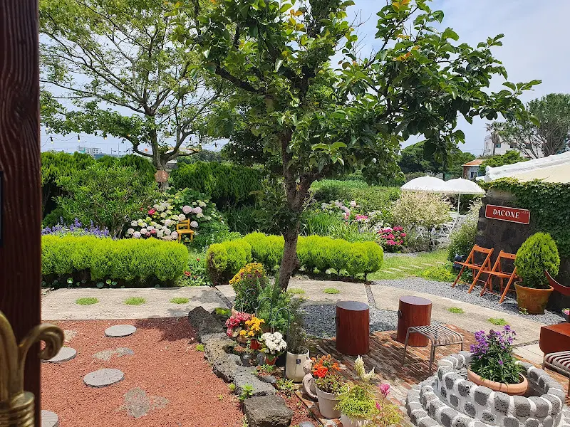 다코네카페 정원