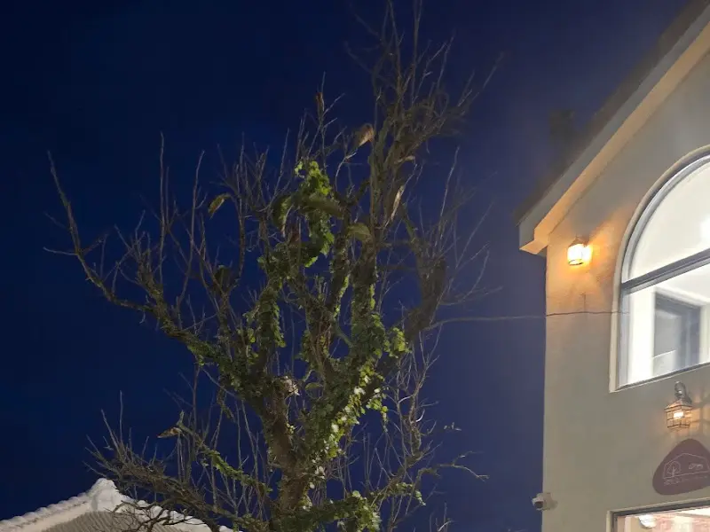 다코네카페 외관