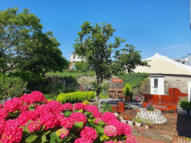 다코네카페 내부