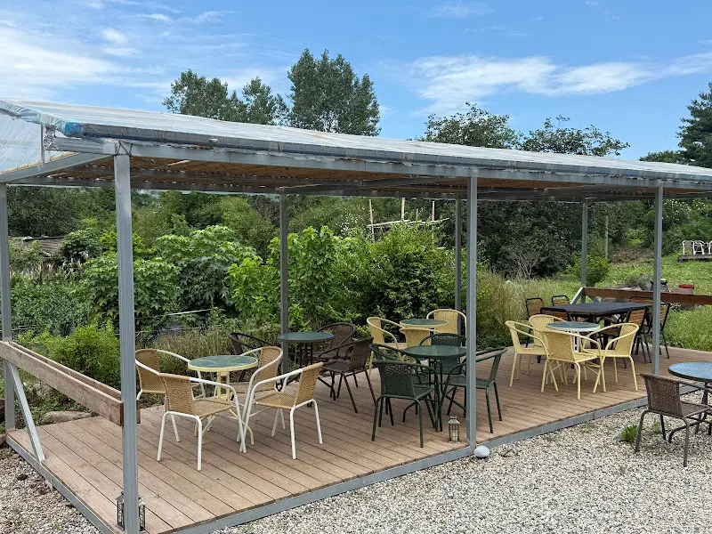 야외 테이블에서 즐기는 여유