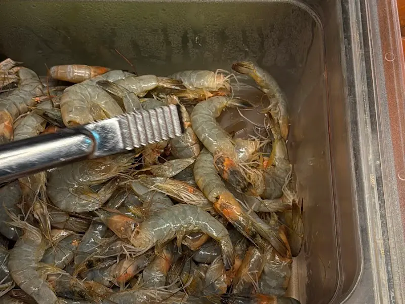 셀프 코너에 마련된 신선한 새우