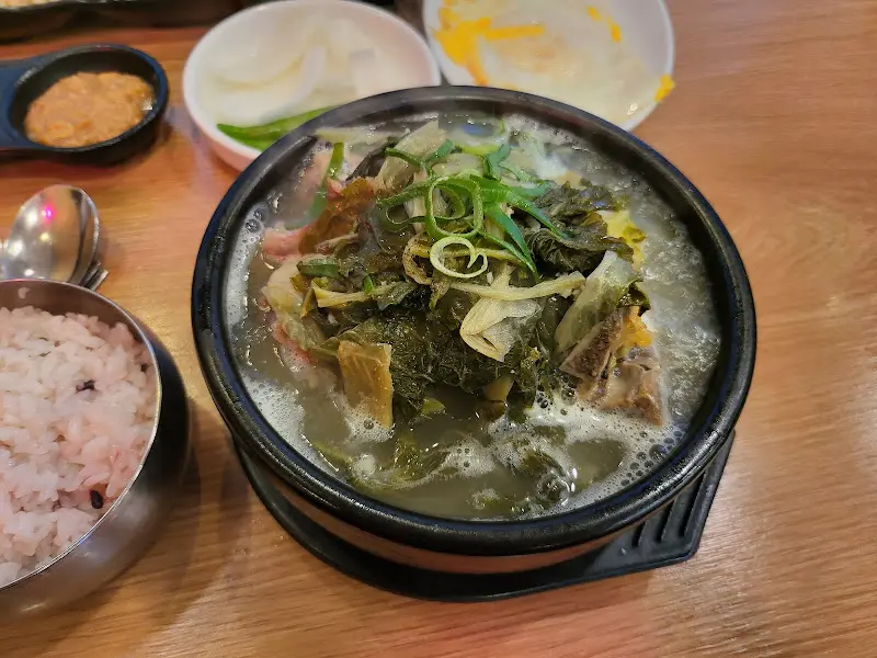 맑은 국물의 뼈해장국 클로즈업