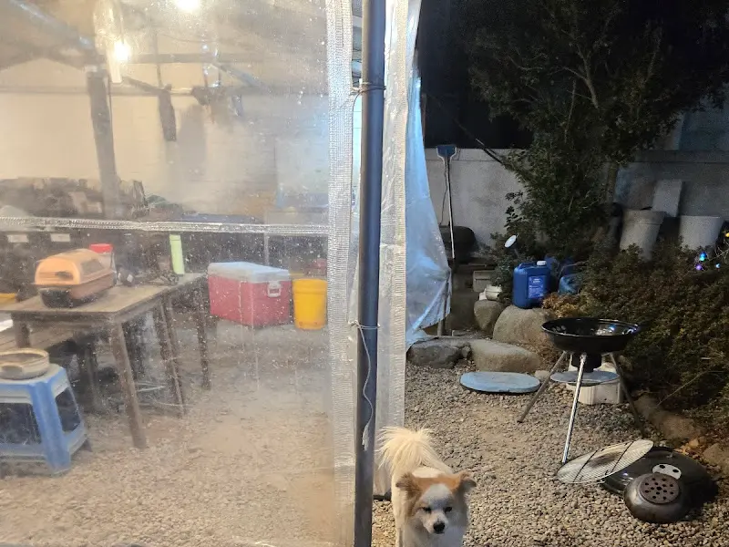 귀여운 강아지 마스코트