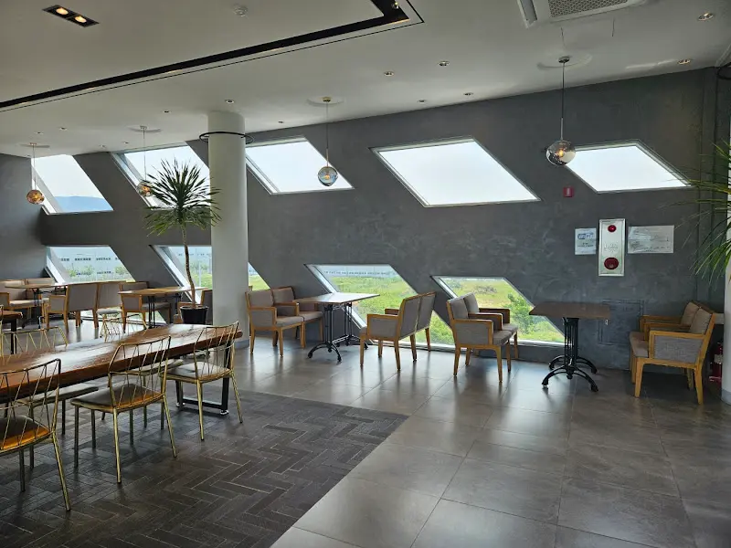 카페 앞 정원의 모습