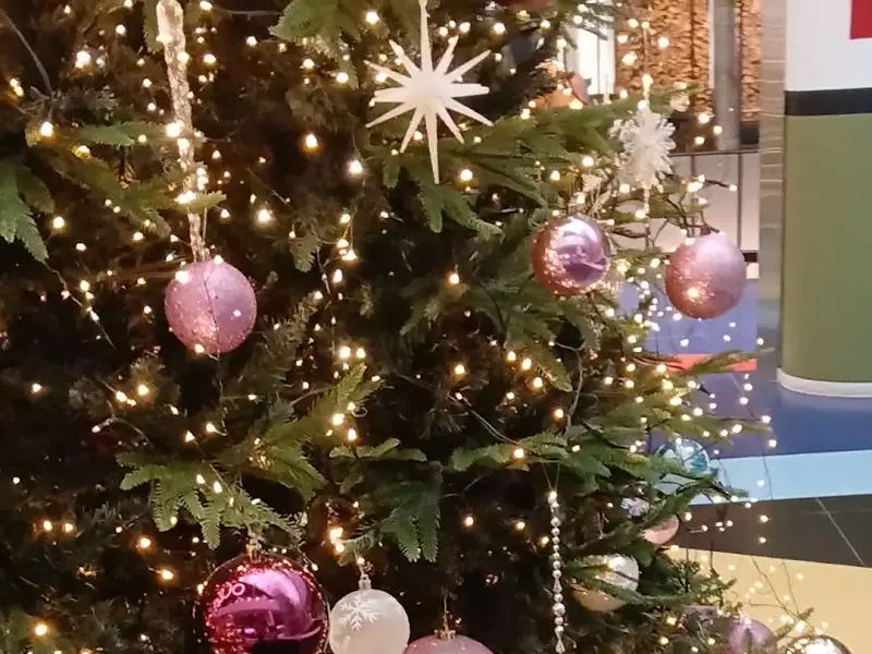 카페 내부 크리스마스 장식