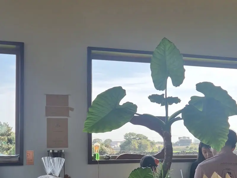 카페 내부의 모습