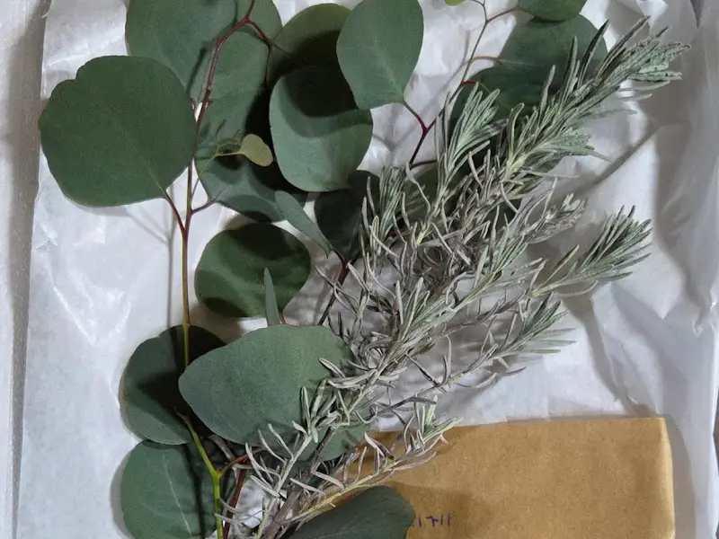 정성스러운 포장