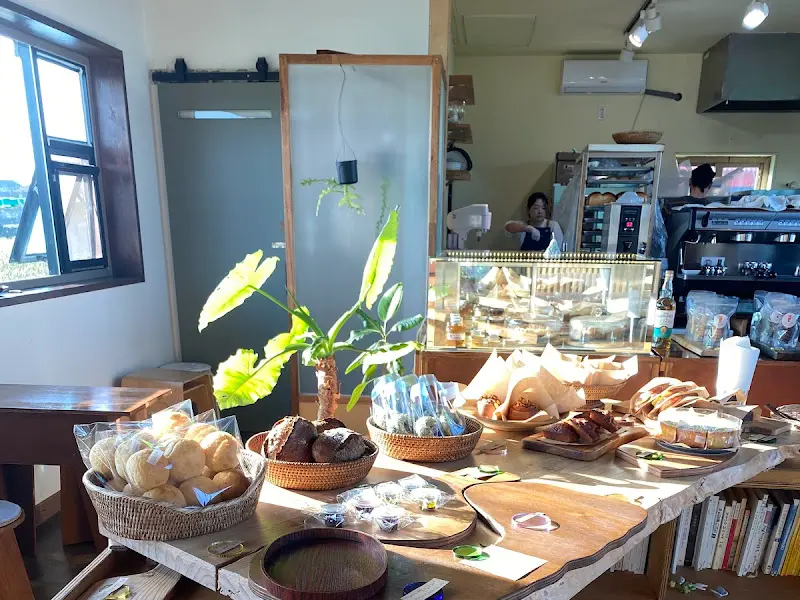 다양한 빵들이 진열된 모습