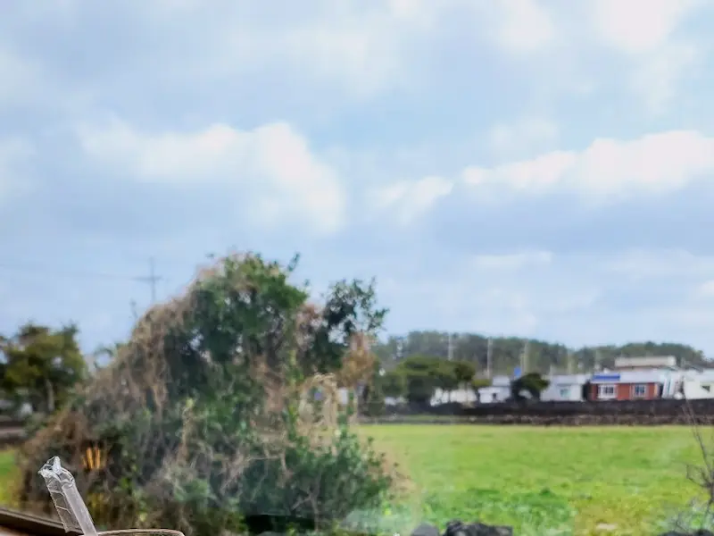평화로운 세화의 풍경