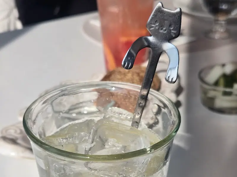 고양이 모양의 스푼