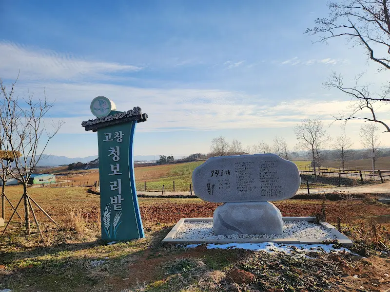 고창청보리밭 표지석