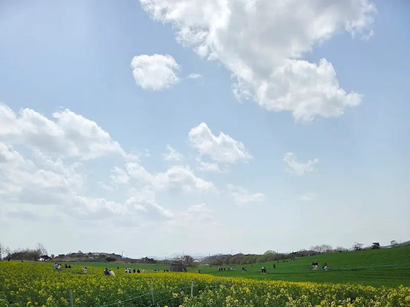 구름이 드리운 하늘