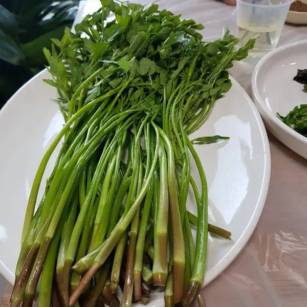 싱싱한 미나리