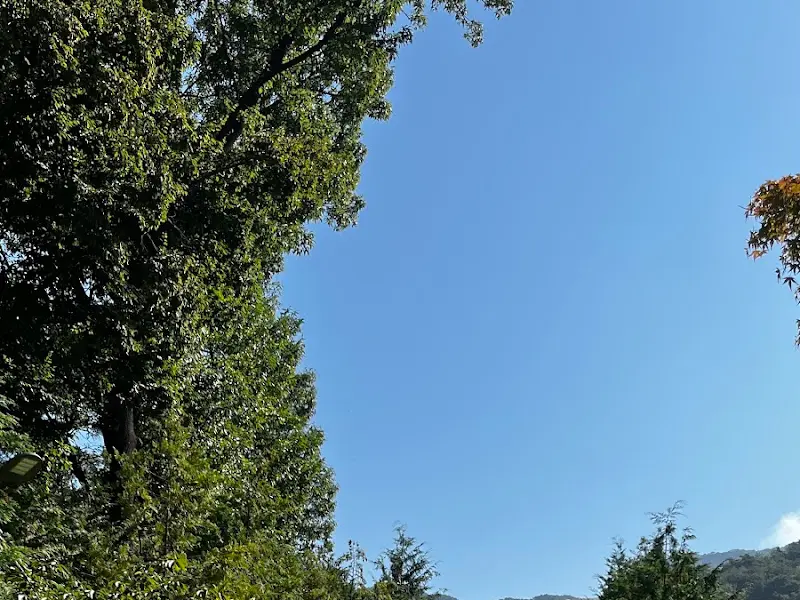 파크프리베 하늘 2