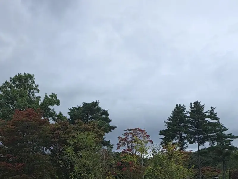 파크프리베 하늘 3