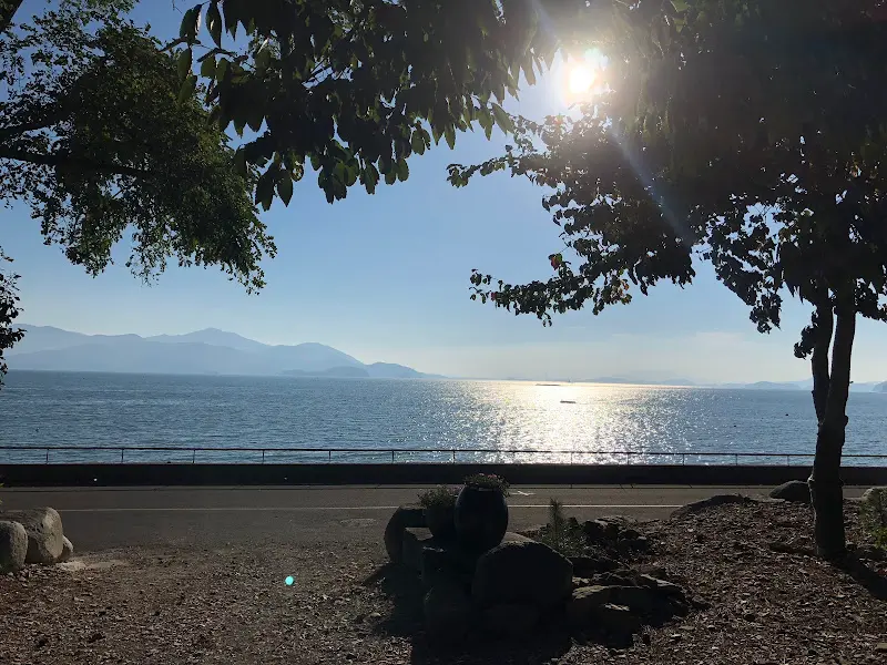 나뭇가지 사이로 보이는 푸른 바다