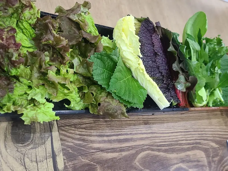 싱싱한 쌈 채소의 향연