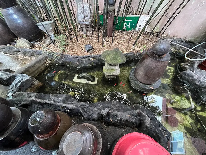 장독대 옆 연못의 금붕어