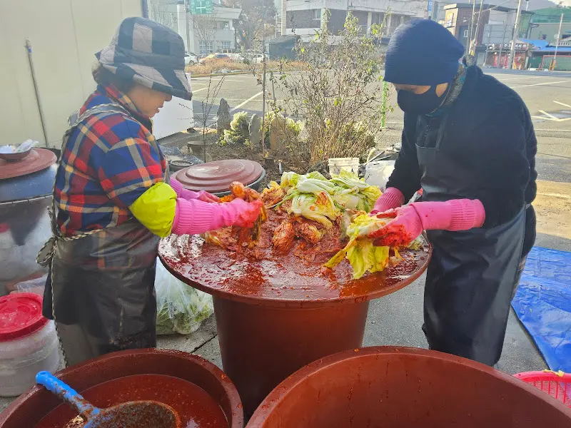 김치를 손질하는 모습
