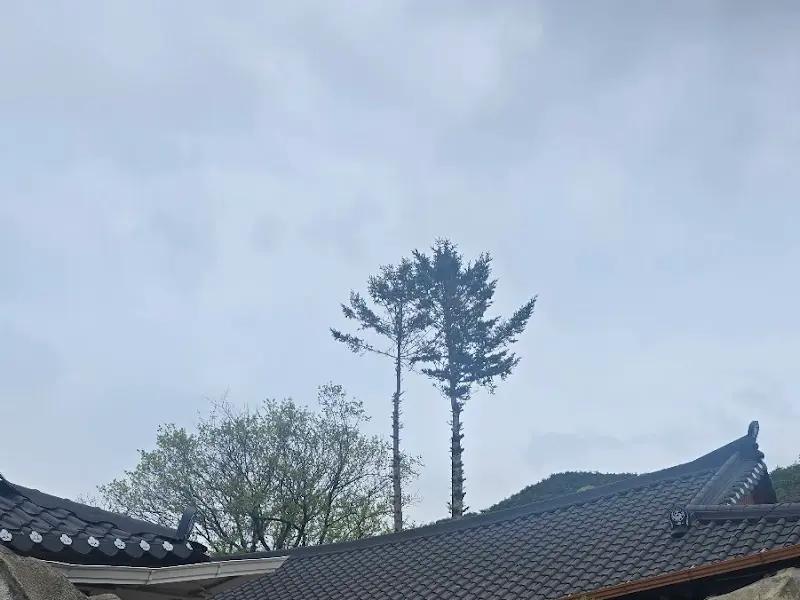 푸짐한 한 상 차림