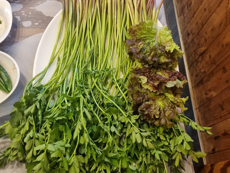 탐복미나리가든 미나리