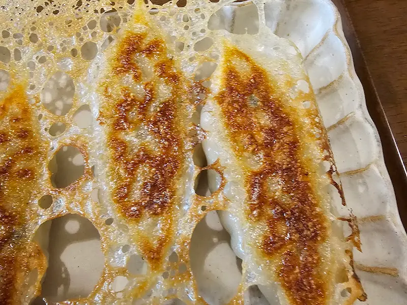 겉바속촉 야끼만두