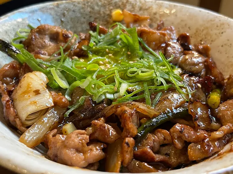 고기 양이 듬뿍 올라간 부타동