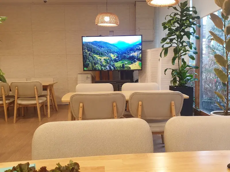 편안한 분위기의 식당 내부