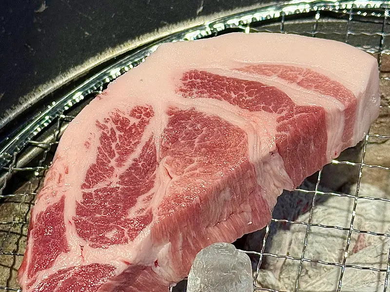 신선한 돼지고기