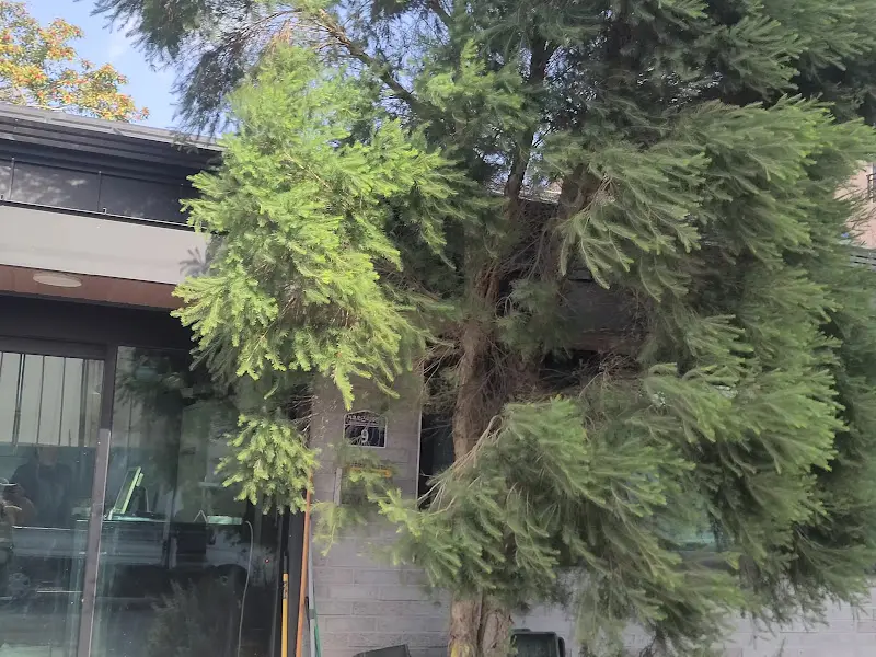 청보리 식당 외관