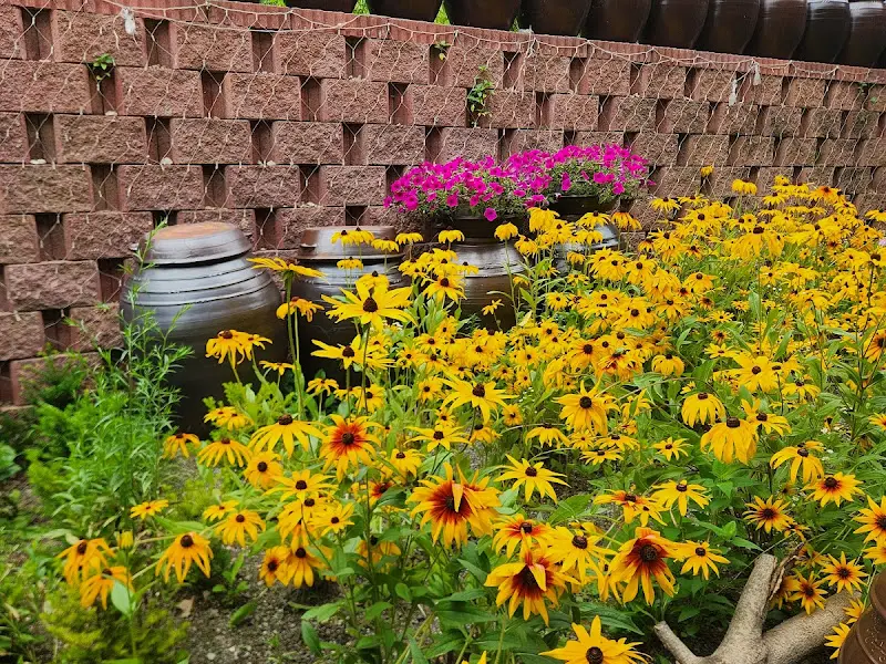 식당 주변 풍경