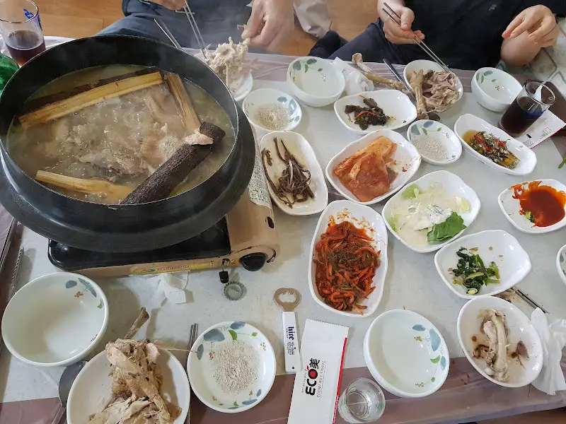 닭볶음탕과 오리 백숙