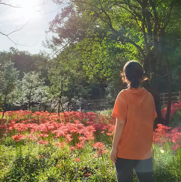 서산의 아름다운 자연 풍경