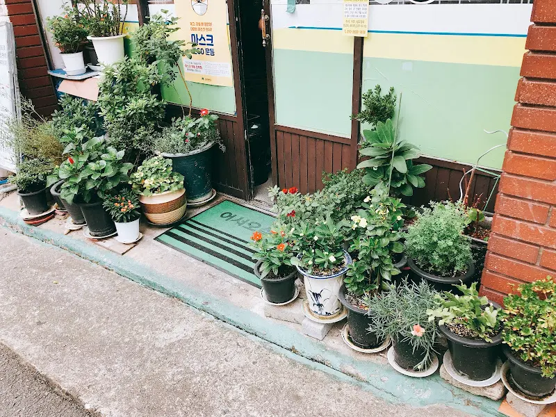 가게 입구 화분들