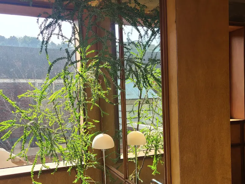 카페 내부의 창가 좌석