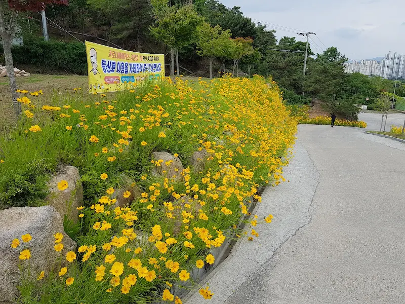 식당 주변 풍경