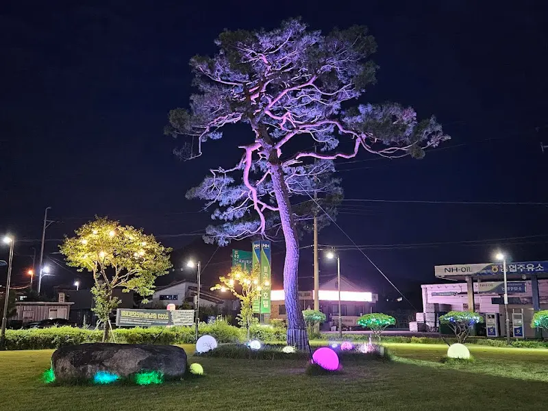 밤의 아름다운 조경