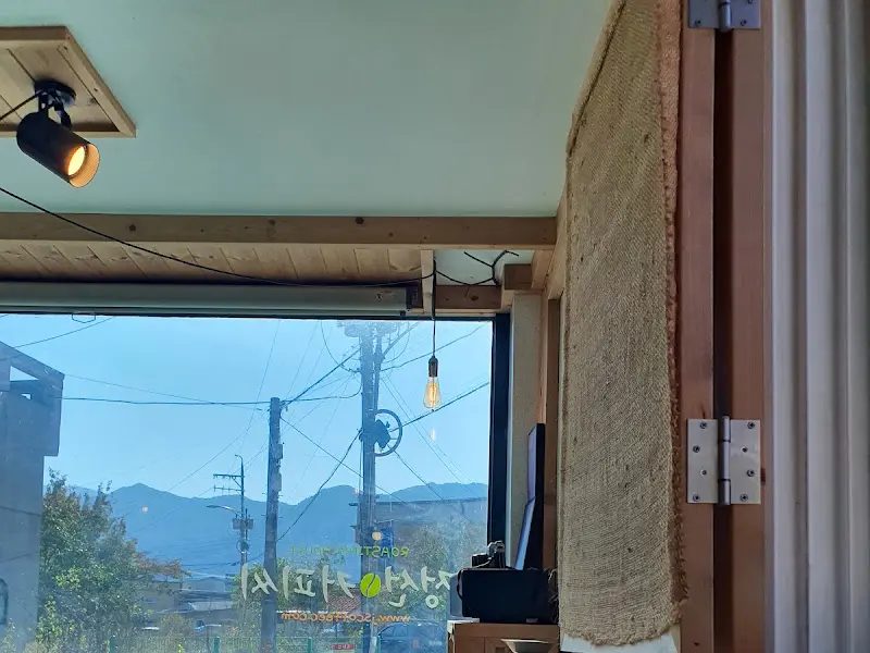 커피씨 창밖 풍경