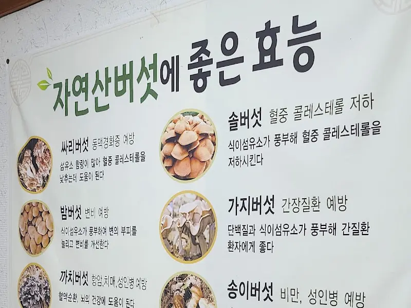 자연산 버섯의 효능 안내