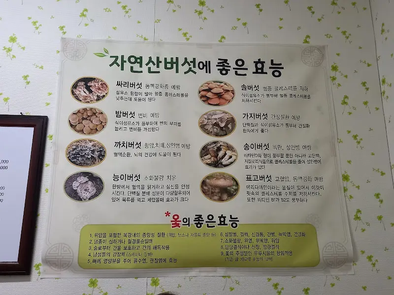 자연산 버섯 효능 안내 2