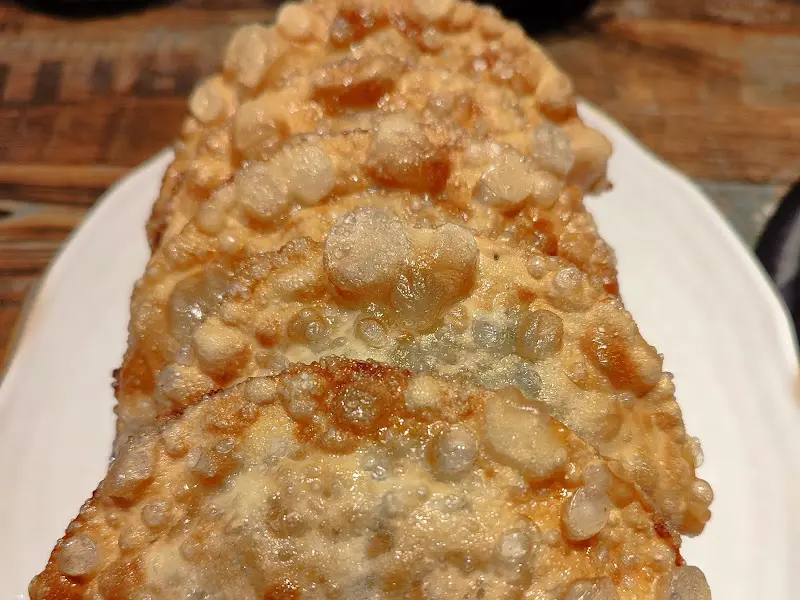 락원이북만두 군만두 확대샷