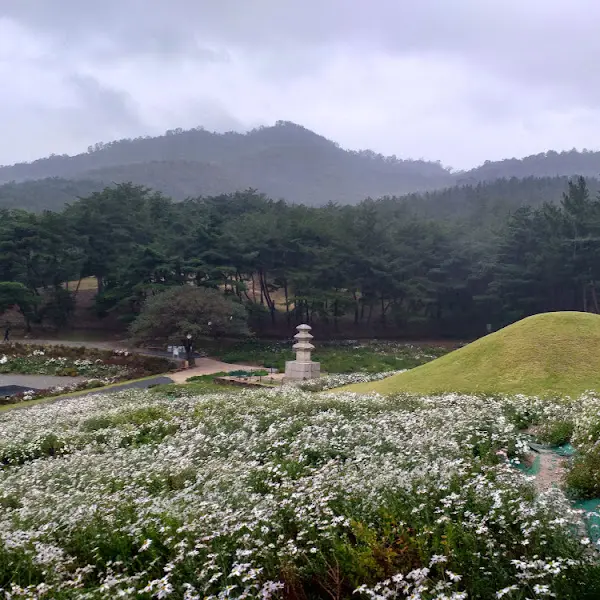 공주의 아름다운 풍경