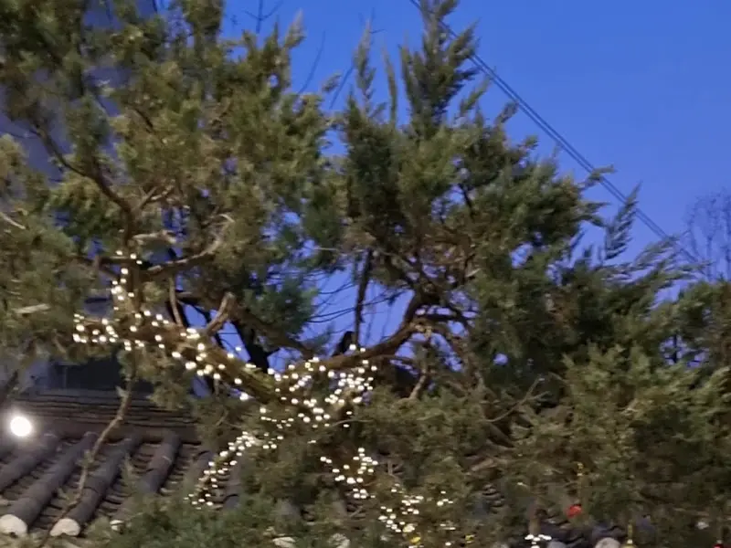 카페 외부 조경