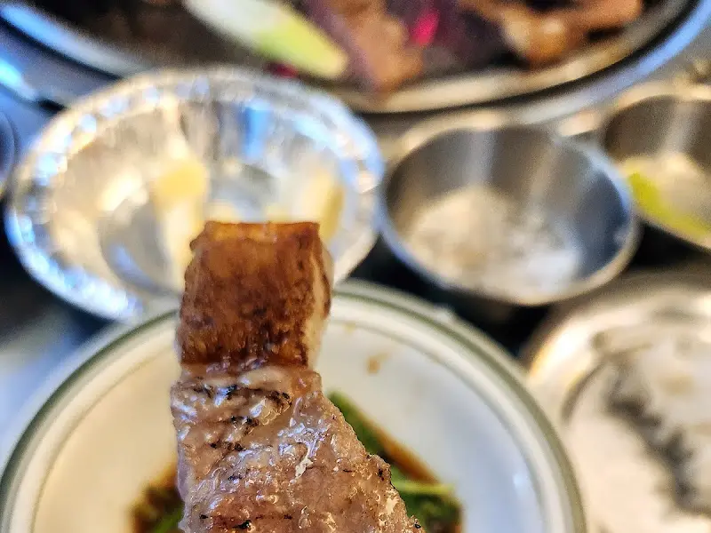 빽돈의 돼지고기