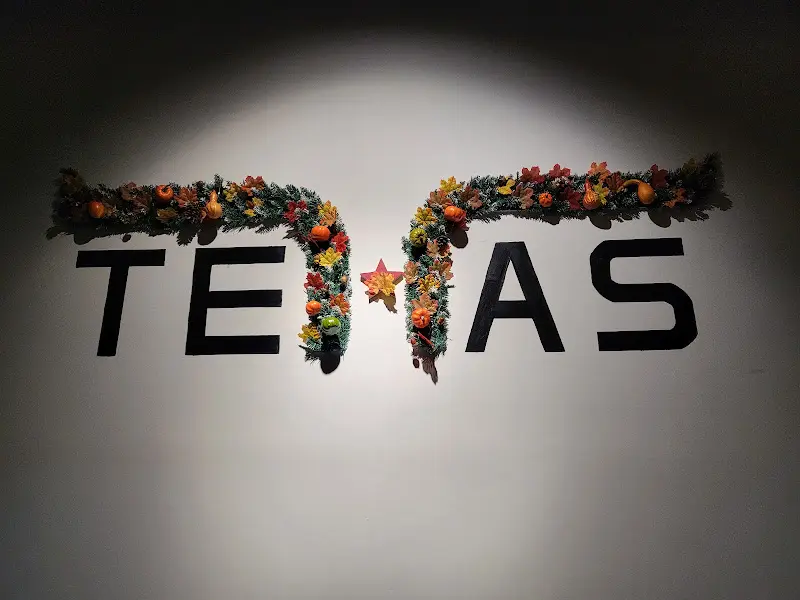 텍사스를 상징하는 장식