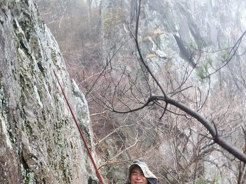 산에서 약초를 채취하는 모습