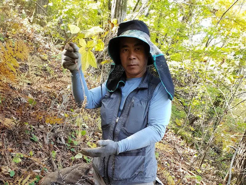 직접 채취한 약초를 들고 있는 사장님